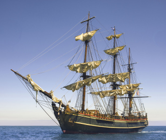 Фрески/Панно ORTOGRAF