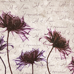  Обои Skinwall Contemporary Collection