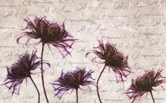  Обои Skinwall Contemporary Collection