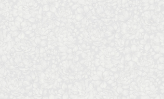 Обои Rasch Bright Whisper