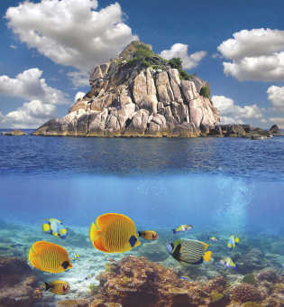 Фрески/Панно ORTOGRAF