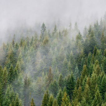 Фотообои Мне обои