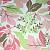 Обои Nina Campbell PERROQUET
