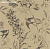Обои Designers Guild Jardin Des Plantes