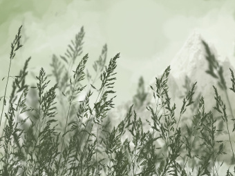 Фрески/Панно ORTOGRAF Vento