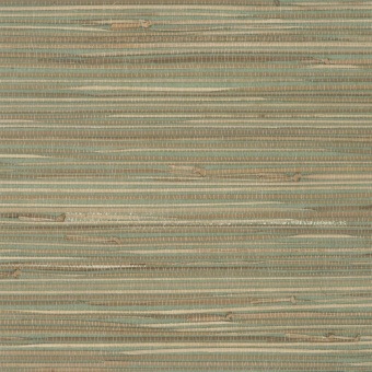 Обои Yate Into the Wild