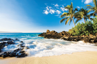 Фрески/Панно ORTOGRAF