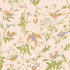 Обои Cole & Son Selection of Hummingbirds Обои Cole & Son Selection of Hummingbirds