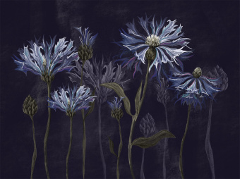 Фотообои Wall Street SUMMERTIME