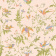 Обои Cole & Son Selection of Hummingbirds