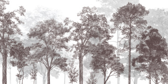 Фотообои Craft Design Lab Креатив