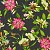 Обои Clarke & Clarke Wedgwood Botanical Wonders