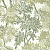 Обои Sanderson Country Woodland 