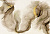 Фрески/Панно RFresco SILVER & GOLD