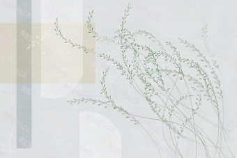 Фотообои Respace Архинатура