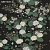 Обои York Florence Broadhurst