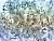 Фотообои Wall Street Aquarelle