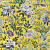 Обои Designers Guild Porcelaine de Chine