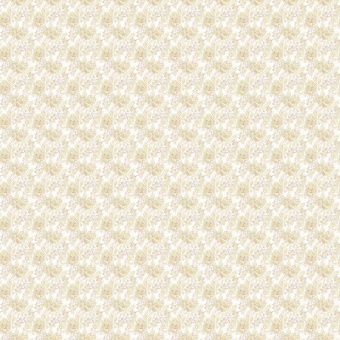 Фотообои Wall Street Fairy Foxes