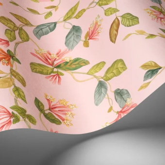 Обои Cole & Son Selection of Hummingbirds