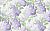 Обои Cole & Son Botanical Botanica