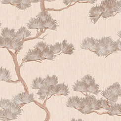 Обои Alessandro Allori Giorgio