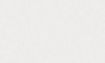 Обои Rasch Bright Whisper