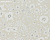 Обои Sanderson The Potting Room Wallpaper