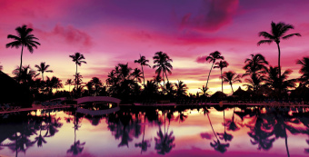 Фрески/Панно ORTOGRAF