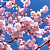 Обои Mr Perswall Photo