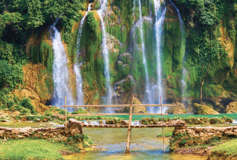 Фрески/Панно ORTOGRAF