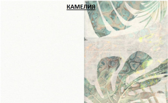 Фотообои My Fresco Культура народов мира