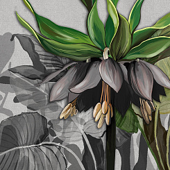 Фотообои Wall Street SOLO