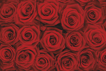 Фрески/Панно ORTOGRAF