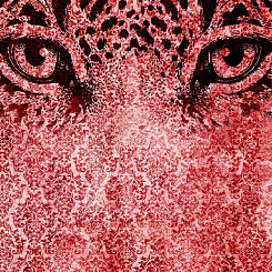  Обои Skinwall Contemporary Collection