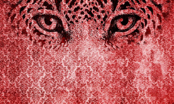  Обои Skinwall Contemporary Collection