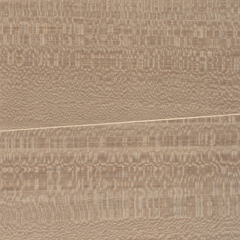 Обои Yate Looking for Chopin