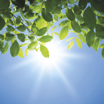 Фрески/Панно ORTOGRAF Небо