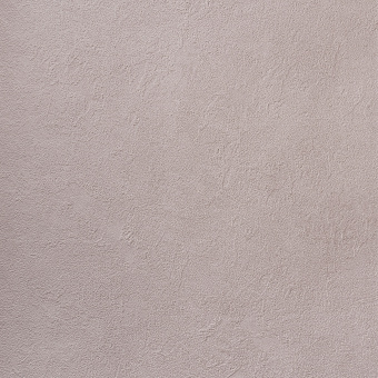 Обои Alessandro Allori Bodega