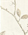 Обои Prestigious Textiles View