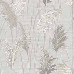 Обои Alessandro Allori Giorgio