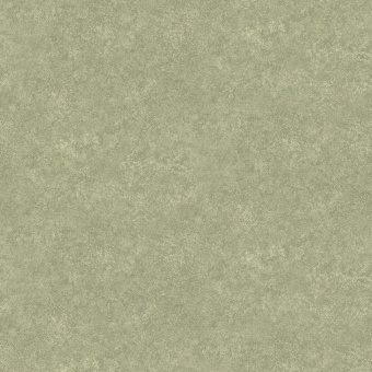 Обои Rasch Modern House