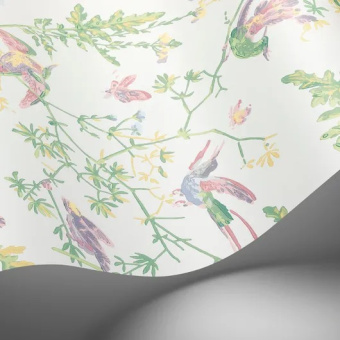 Обои Cole & Son Selection of Hummingbirds