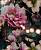 Обои ArtHouse EASTERN ALCHEMY