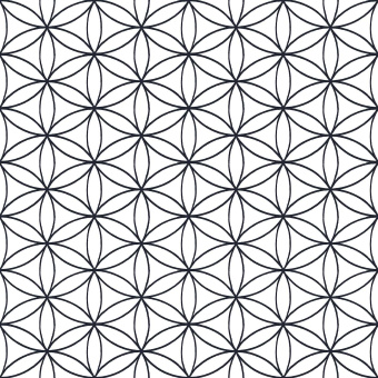 Обои Parato Amazzonia