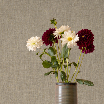 Обои A-Street Prints Whimsy