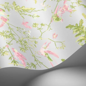 Обои Cole & Son Selection of Hummingbirds