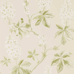 Обои Sanderson Country Woodland 
