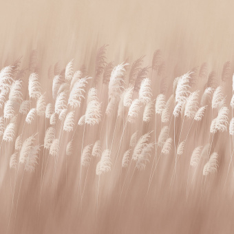 Фрески/Панно ORTOGRAF Flower dreams 2