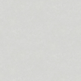 Обои Rasch Modern House